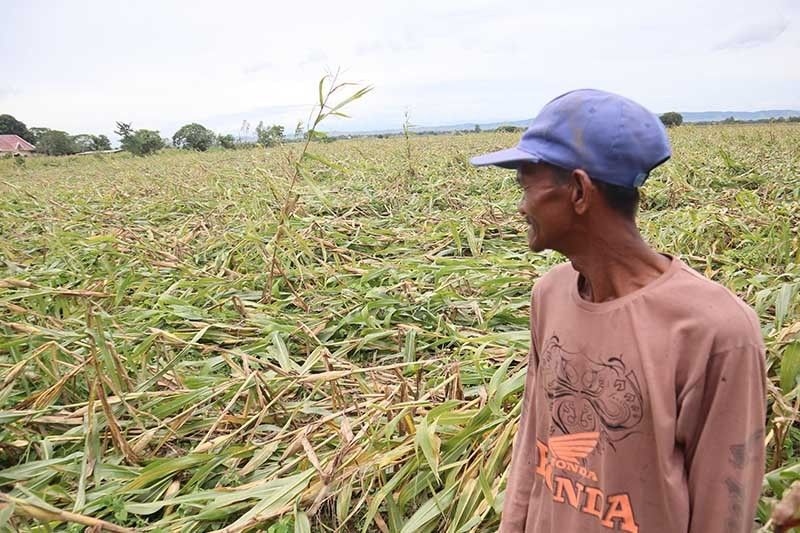 3 reported dead, 4 injured due to Florita â�� NDRRMC