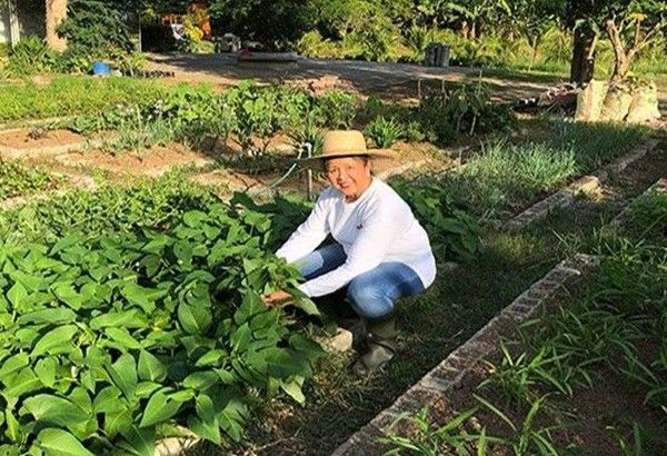 #NationalHeroesDay: Filipina dame knighted by Dutch king says 'never too late to get into farming'