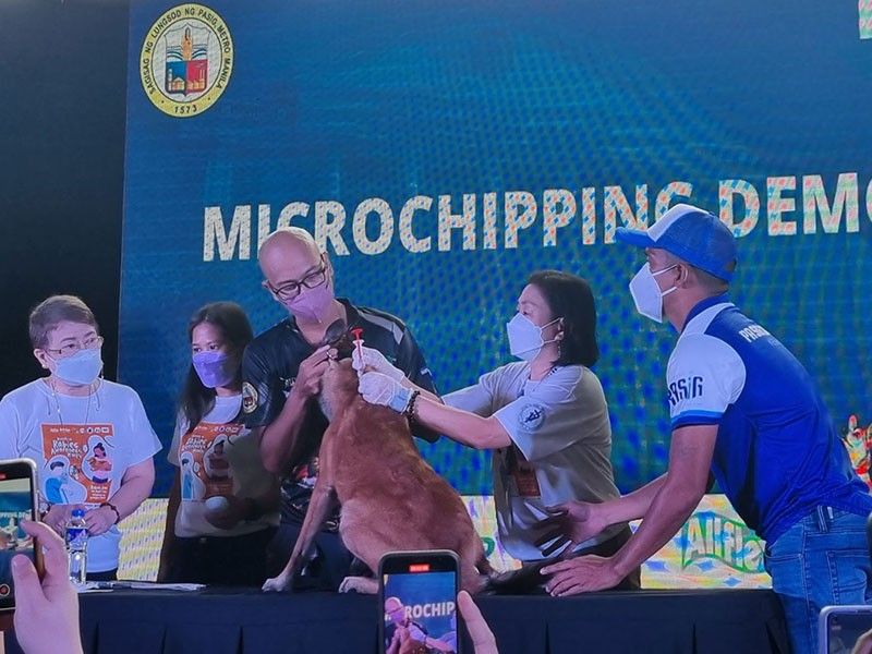 Pasig City adopts pet microchip technology to eradicate rabies, encourage responsible ownership