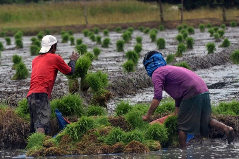 Farmer subsidies not for time deposit â Imee