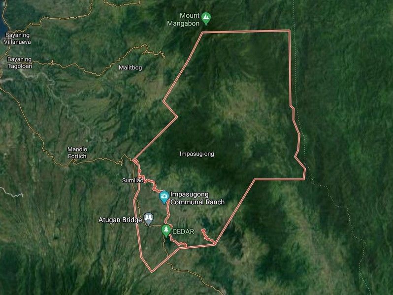 Tentara: 2 pemimpin NPA tewas dalam bentrokan Bukidnon