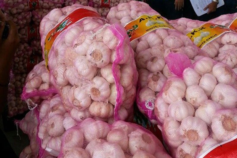 DA to assist farmers sell garlic produce