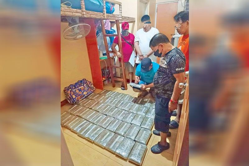 Drug gang leader caught with P6.2 million weed