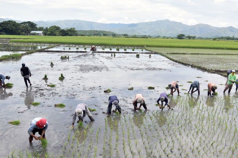 Philippines proposes internship program on smart farming
