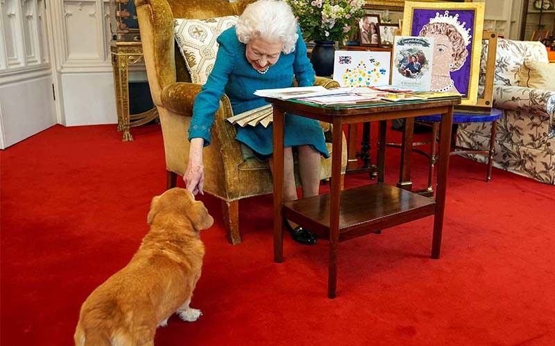 Queen's corgis take center stage at London exhibition