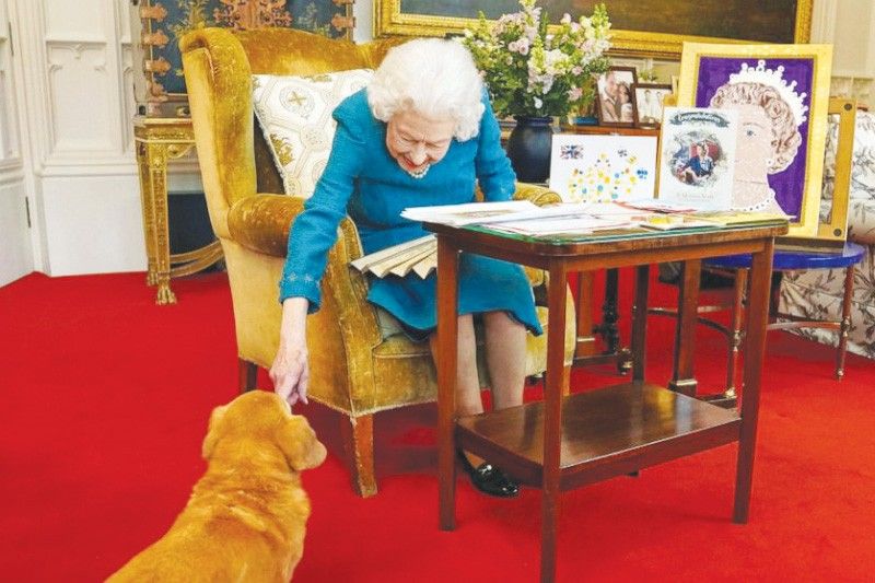 Favorite dogs ni Queen Elizabeth, aalagaan ni Prince Andrew