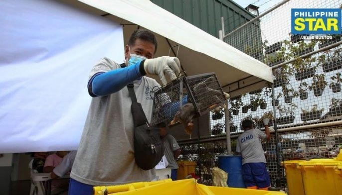 &lsquo;Rat to Cash Program&rsquo;, inilunsad sa Marikina
