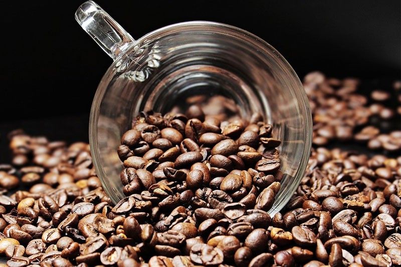 DA sets aside P84 million to boost coffee output