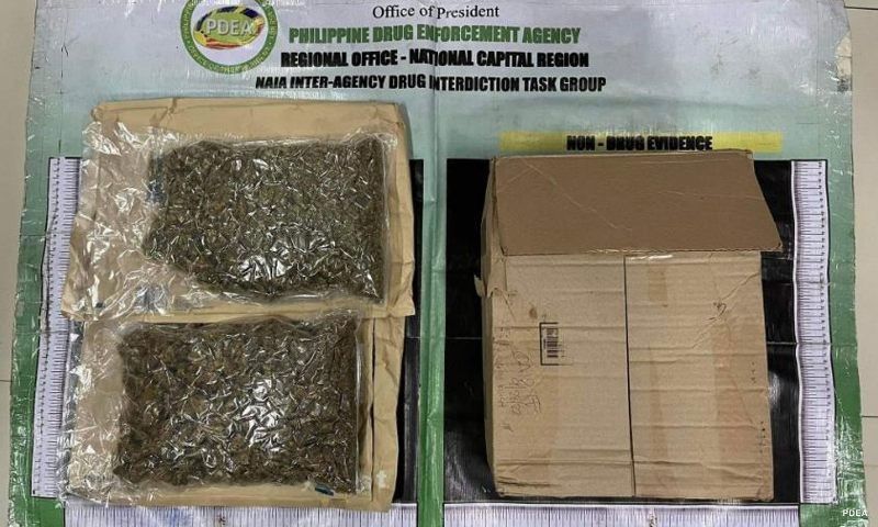 Remulla son is lone suspect in drug bust, says PDEA