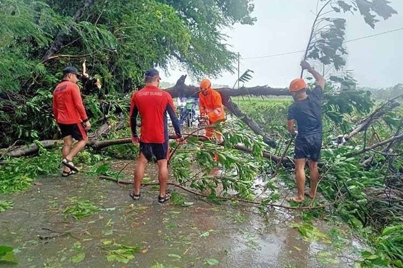 Maymay, kerusakan pertanian Neneng mencapai P583,4 juta