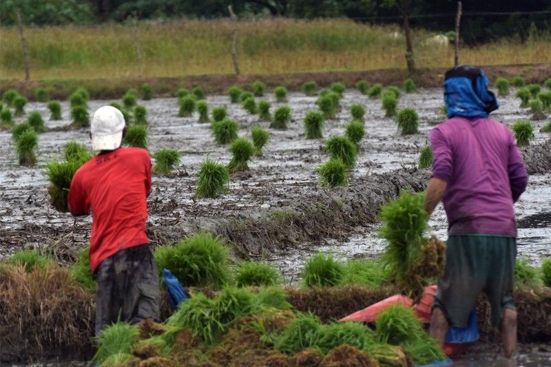 Israel to help Philippines modernize farming
