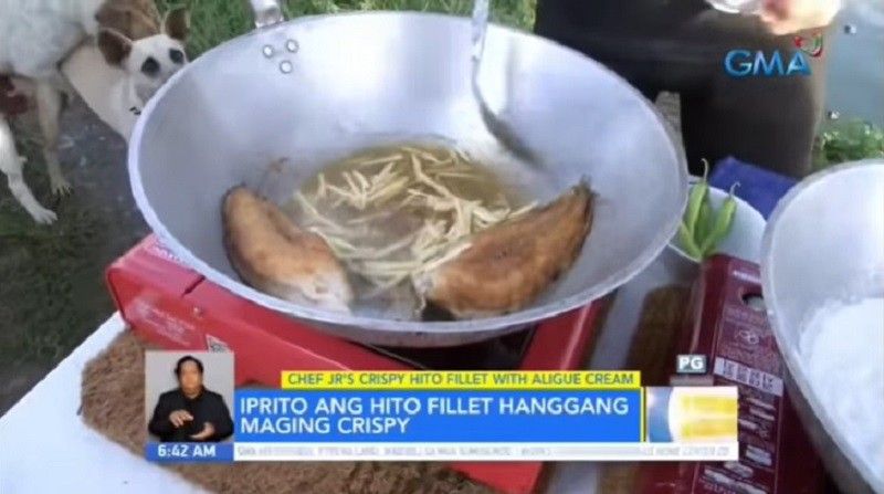 Dalawang aso viral nang makipaglabing-labing sa set ng 'Unang Hirit'