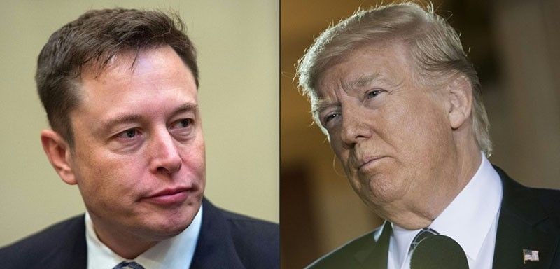 Musk reinstates some banned Twitter accounts, not Trump