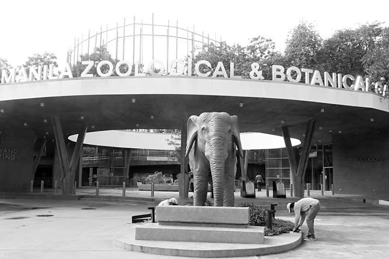 Bagong Manila Zoo, bukas na ngayon
