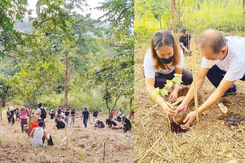 Planting trees, nurturing communities