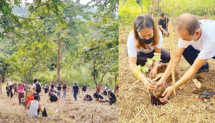 Planting trees, nurturing communities