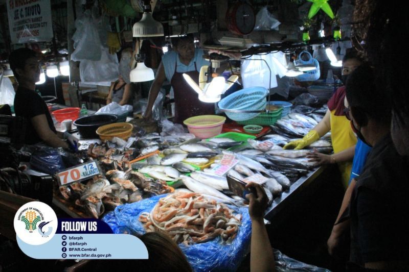 Fisheries body wants gov't to run after illegal importers instead of wet market vendors