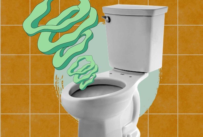 Anda dapat membantu memenangkan perang melawan sanitasi yang buruk – begini caranya