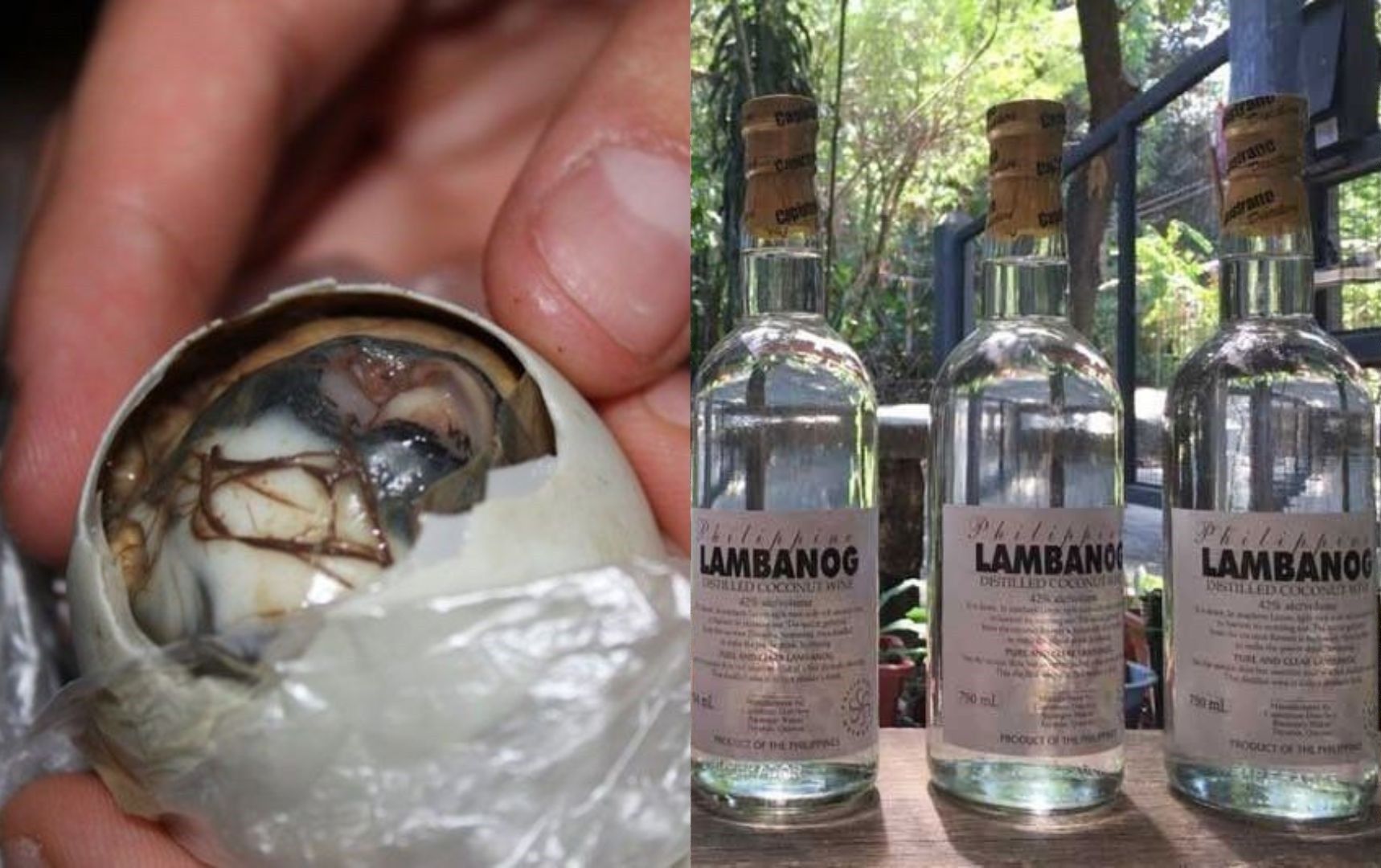 'Balut,' 'lambanog' most mispronounced local food, drink â�� study