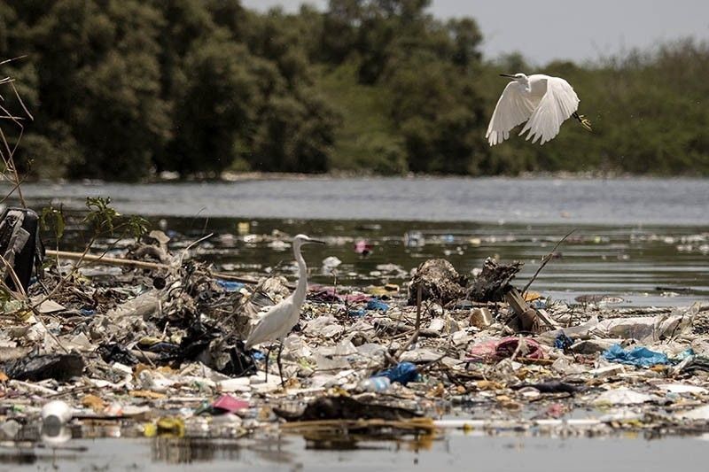 Group calls for treaty to protect people, environment from plastic pollution