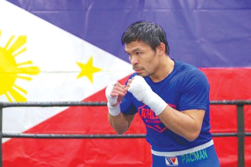 Anak ni Padilla humingi ng pang-unawa; WBC magsasagawa ng imbestigasyon
