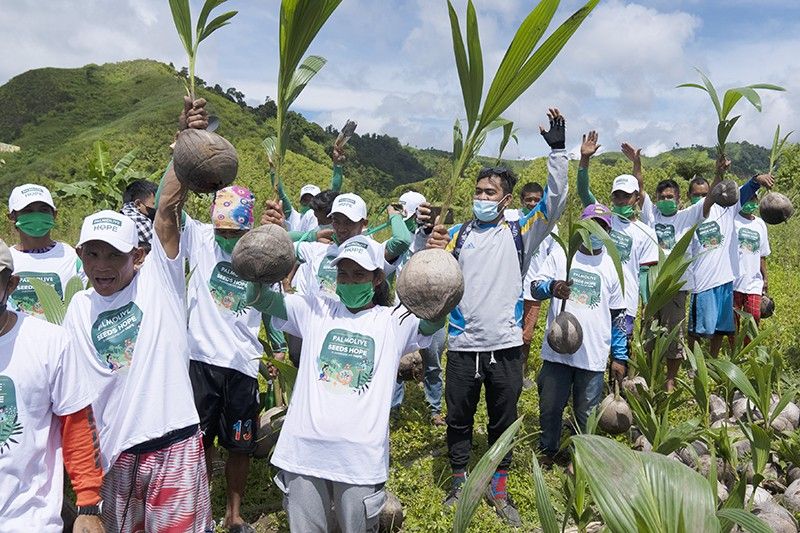 Seeding positivity: Palmolive, Pinoys raise 9,500 coconut seedlings for Gen San farmers