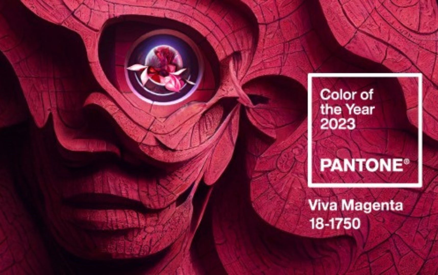 Viva Magenta is the 2023 Pantone Color of the Year