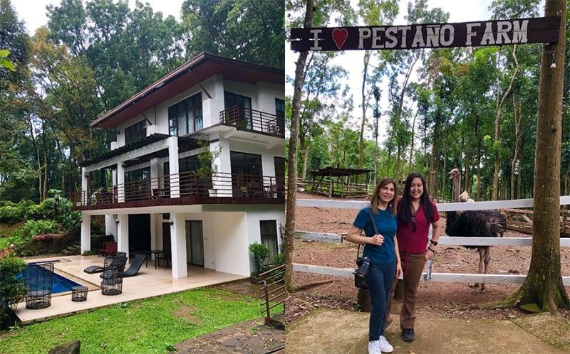 Capturing memories in Villa Elisha, PestaÃ±o Farm