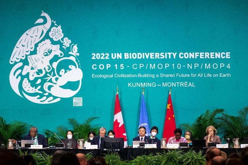 Things to know about a landmark biodiversity agreement