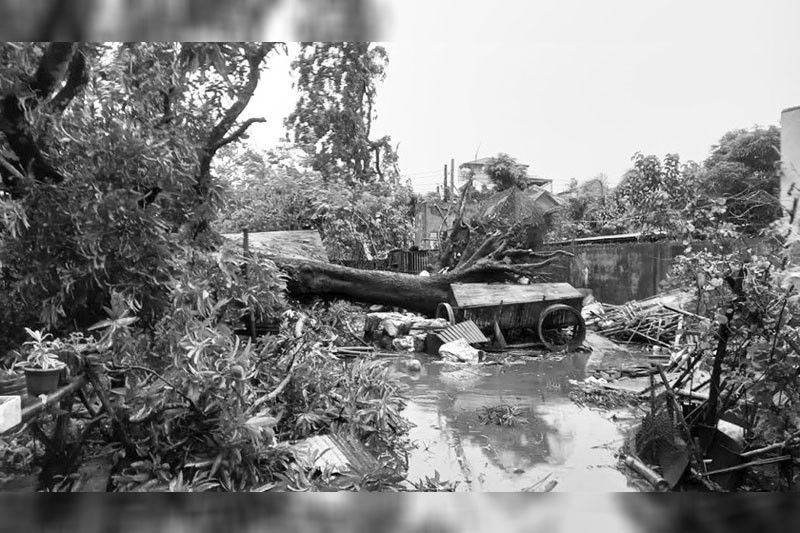 50 bahay winasak ng buhawi, 2 sugatan