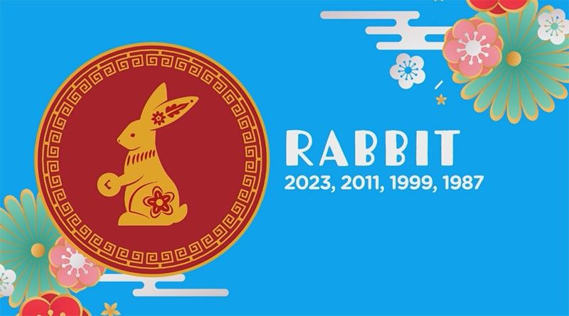 Shop the 20 Year of the Rabbit Lunar New Year 2023 finds