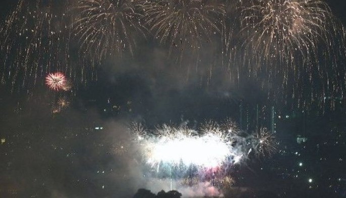 Night of terror for animals: Dog owners sit out New Year's Eve chaos in airport hotels