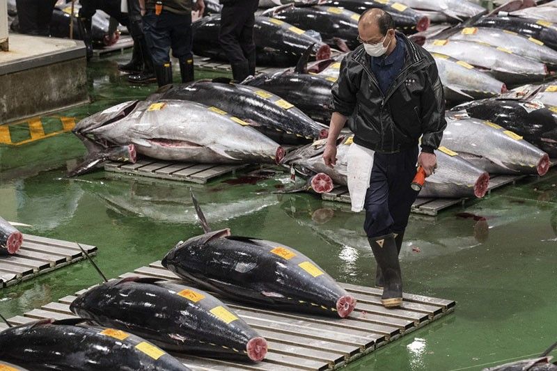 Japan tuna price soars past $270,000 at New Year auction