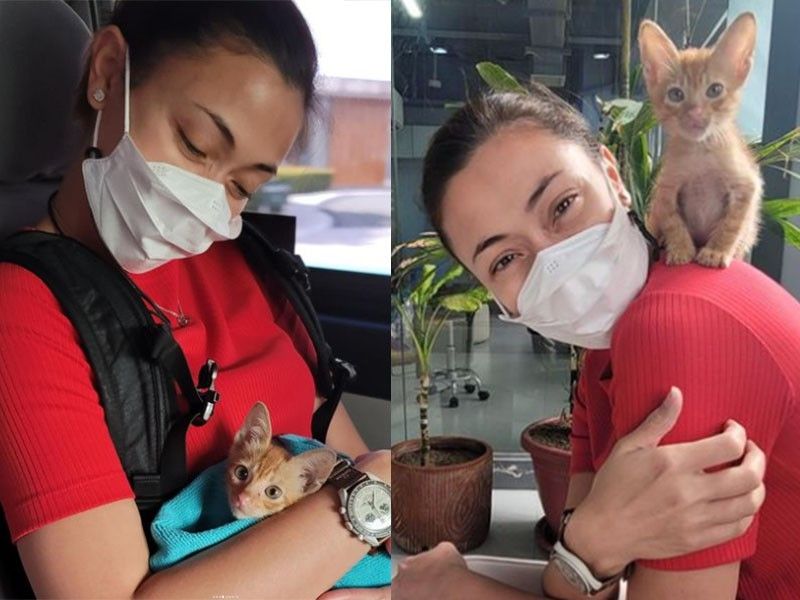 Jodi Sta. Maria adopts stray kitten she found in airport