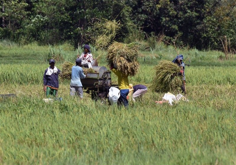 DILG backs Kapatid Angat Lahat Agriculture Program