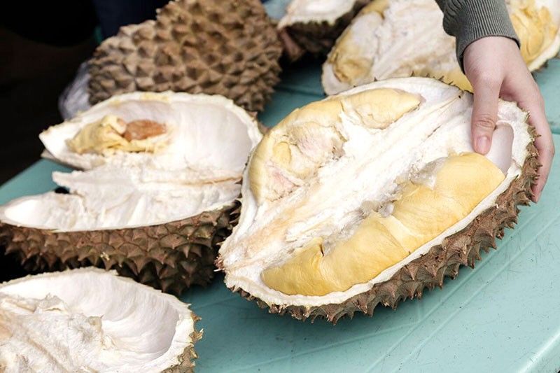 DA to expand durian production