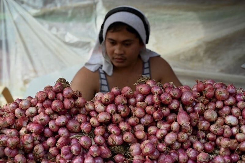 Presyo ng sibuyas, inaasahan na bababa sa P120/kilo sa Pebrero