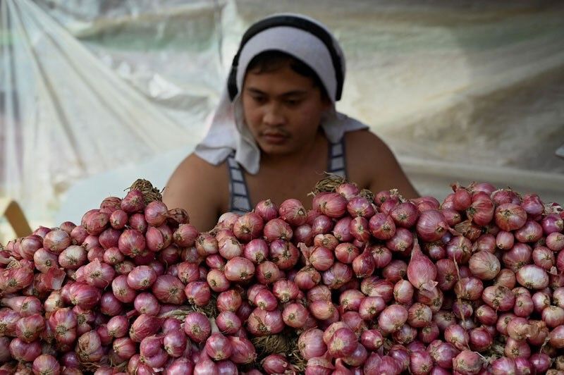 Presyo ng sibuyas, inaasahang bababa sa P120/kilo sa Pebrero