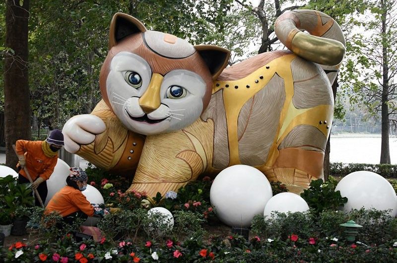 Why Vietnam is celebrating the Year of the Cat, not the Rabbit