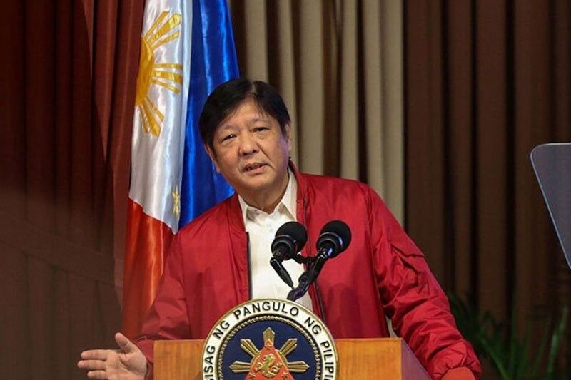 Marcos pushes private sector-government partnership