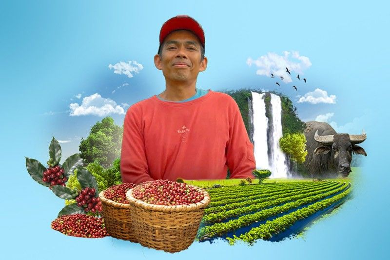 Farmers Coffee