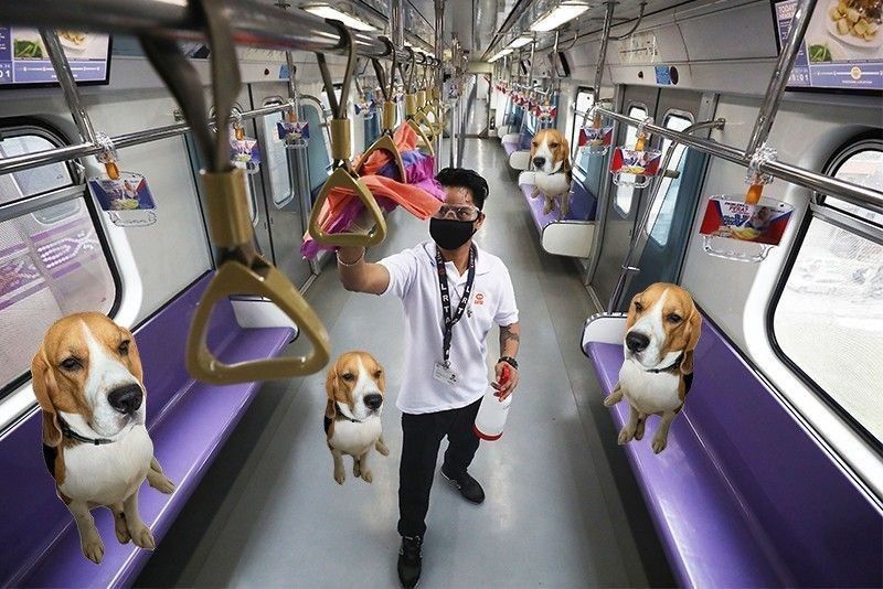 are dogs allowed on trains