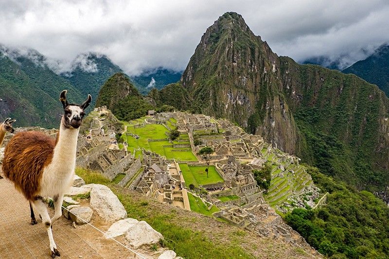 Peru tourism industry in 'free fall' as Machu Picchu closed by protests