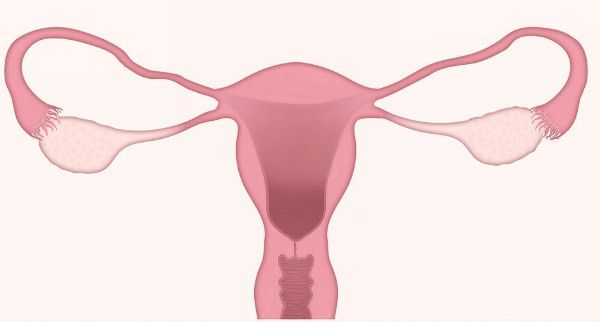How well do you know your cervix? Surefire ways to prevent cervical cancer