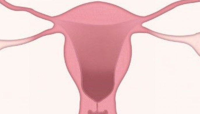 How well do you know your cervix? Surefire ways to prevent cervical cancer