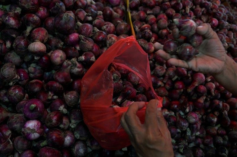 Government allots P327 million to boost onion production