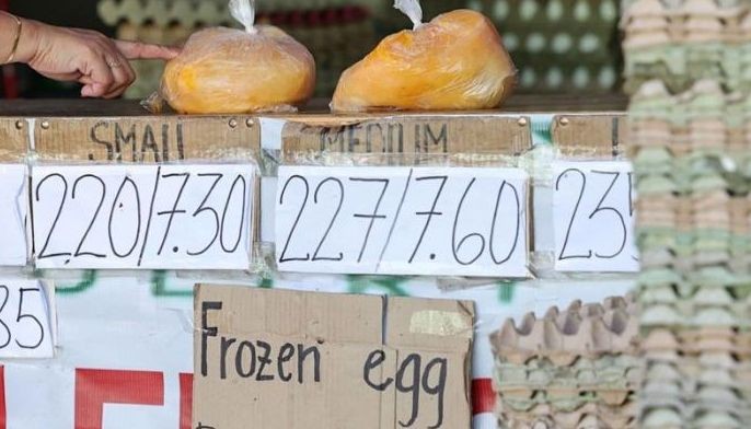 Frozen egg, ligtas kainin &ndash; DA