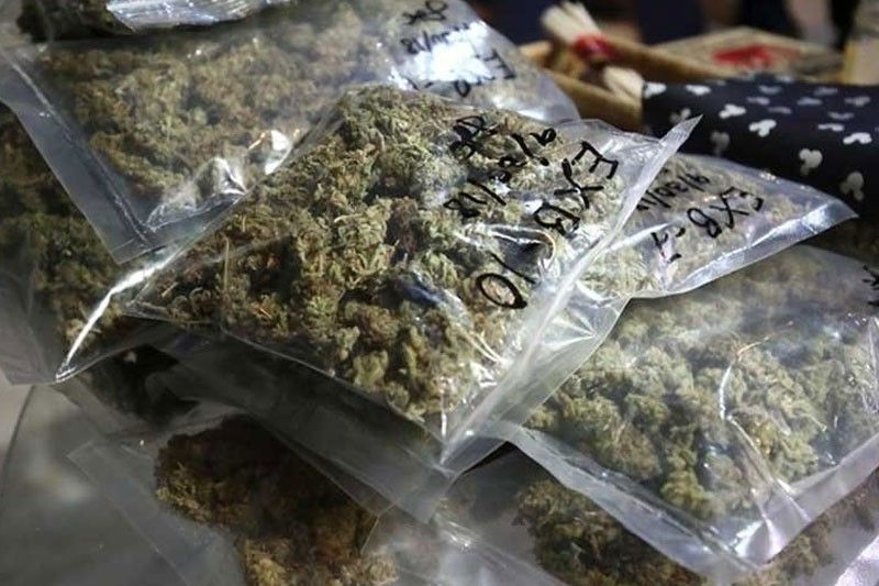 Claimant ng P3.7 milyong Kush marijuana, timbog