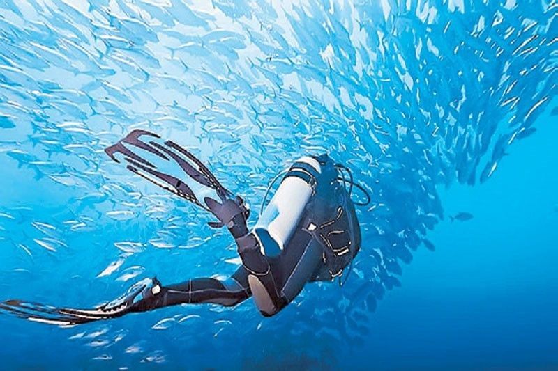 菲律宾在亚洲潜水博览会上被誉为“最佳”潜水目的地