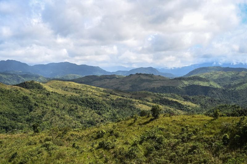 Tropical deforestation significantly reduces rainfall â�� study